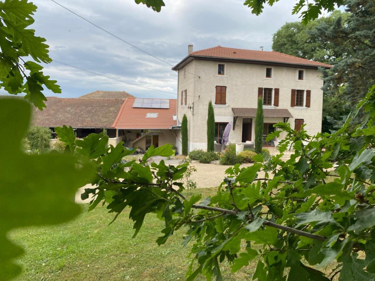 Les Berouds Hotell Salaise-sur-Sanne Eksteriør bilde